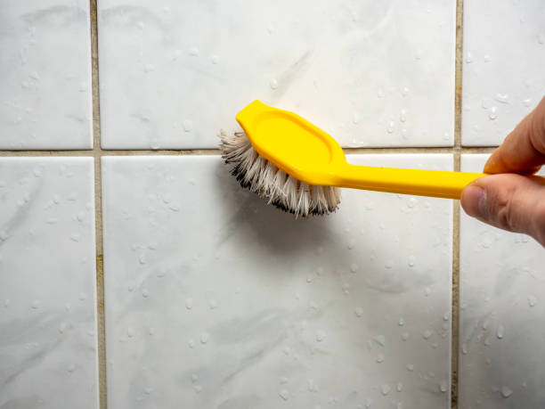 Best Home Mold Removal  in Wentworth, NC