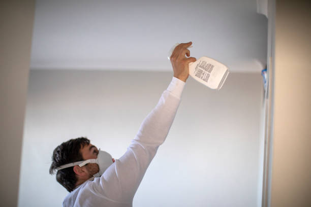 Mold Removal and Inspection in Wentworth, NC