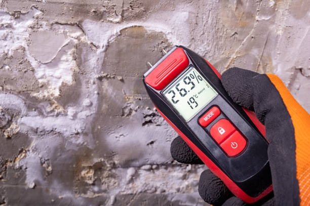 Best Mold Removal Near Me  in Wentworth, NC